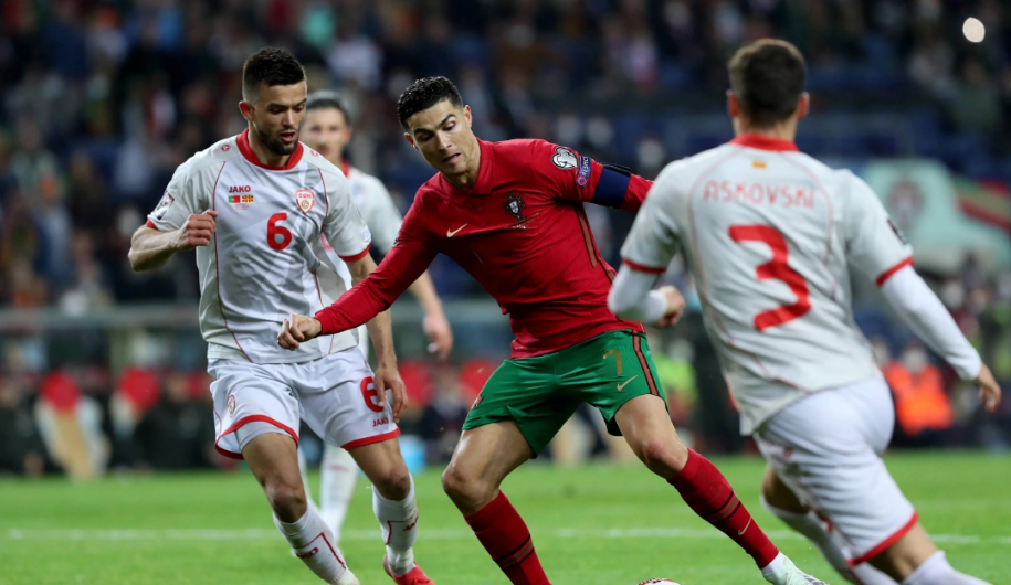 鲸鱼体育是一家成长于粤港澳大湾区的知名教育培训机构 